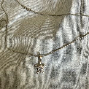 Silver Turtle Necklace